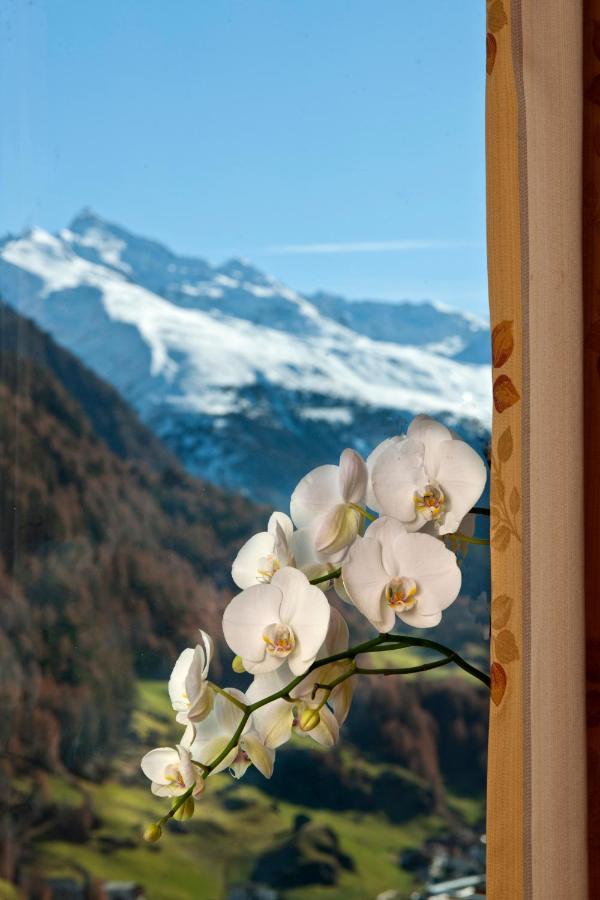 Alp Resort Tiroler Adler ゼルデン エクステリア 写真